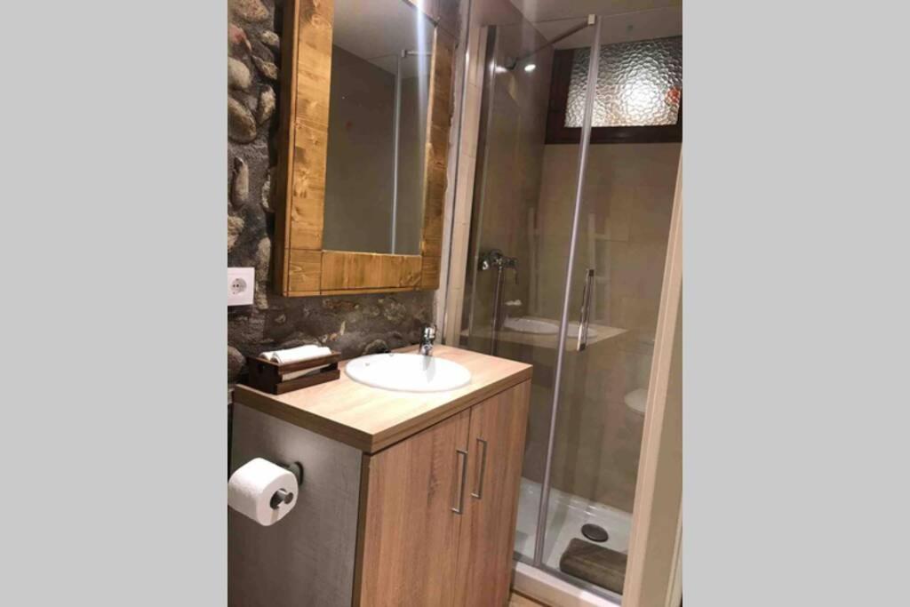 Puigcerda Centro. Acogedor Apartament En El Pueblo Buitenkant foto